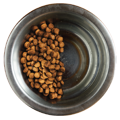 Avoderm vegetarian dog food hotsell