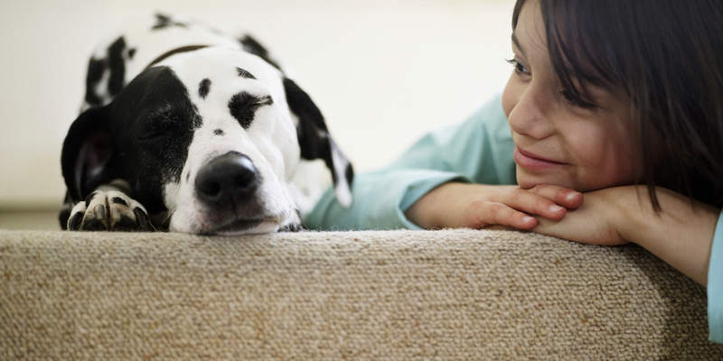 Therapeutic Benefits of Having a Pet --AvoDerm