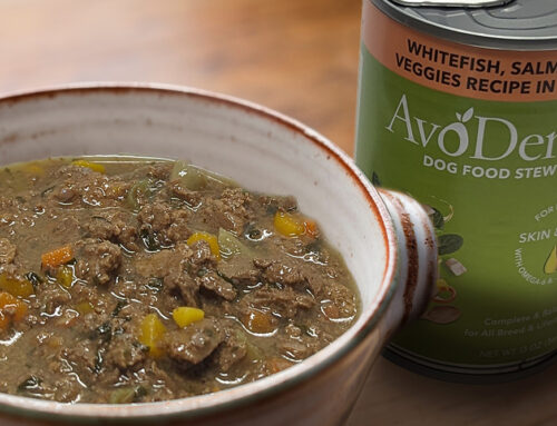 NEW!-AvoDerm® Dog Food Stew Recipes In Gravy