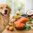 10 Best Ingredients for Dog Coat Health