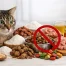 11 Ingredients to Avoid in Cat Food