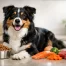 Best Dog Food for Shiny Coat Results