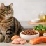 Cat Food for Healthy Coat: What Really Helps