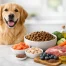 Healthy Skin Dog Food That Actually Helps