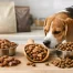 How to Switch Dog Food Safely