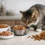 How to Transition Cat Food the Right Way