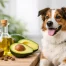 Is Avocado Oil Safe for Dogs?