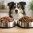 Wet or Dry Food for Dogs?