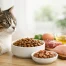 Best Cat Food for Skin: What to Look For