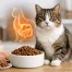 Digestive Support Cat Food That Helps