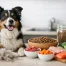 How to Choose Dog Food for Shedding