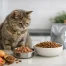 How to Pick Cat Food for a Dull Coat