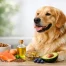 Dog Coat Nutrition Tips for a Healthy Shine
