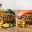 Dog Food With Avocado Oil Versus Salmon Oil